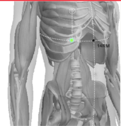 réflexologie plantaire et huiles essentielles, stimulation du point 14 du méridien Foie